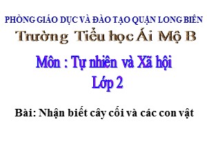 Bài giảng Tự nhiên xã hội Lớp 2 - Tuần 30: Nhận biết cây cối và các con vật - Năm học 2020-2021 - Trường Tiểu học Ái Mộ B