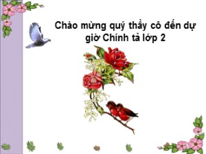 Bài giảng Chính tả Khối 2 - Tuần 21: Tập chép Chim sơn ca và bông cúc trắng