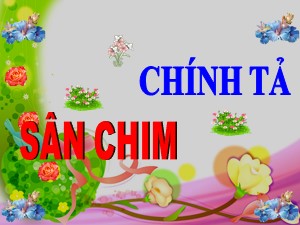 Bài giảng Chính tả Lớp 2 - Tuần 21: Sân chim