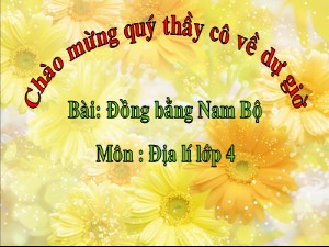 Bài giảng Địa lí Lớp 4 - Bài 17: Đồng bằng Nam Bộ - Năm học 2017-2018