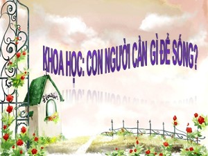 Bài giảng Khoa học Khối 4 - Bài 1: Con gì cần gì để sống