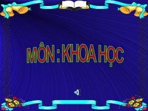 Bài giảng Khoa học Khối 4 - Bài 14: Phòng các bệnh lây qua đường tiêu hoá