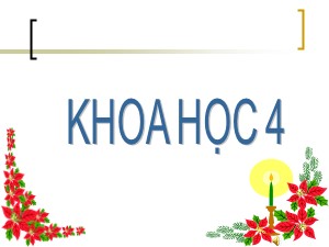 Bài giảng Khoa học Khối 4 - Bài 16: Ăn uống khi bị bệnh