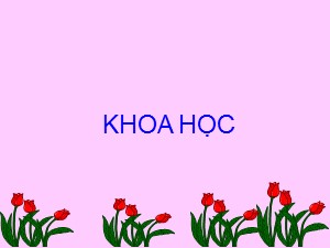 Bài giảng Khoa học Khối 4 - Bài 40: Bảo vệ bầu không khí trong sạch