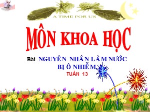 Bài giảng Khoa học Khối 4 - Tuần 13: Nguyên nhân làm nước bị ô nhiễm