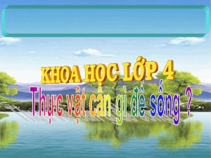 Bài giảng Khoa học Lớp 4 - Tuần 27: Thực vật cần gì để sống? - Năm học 2019-2020