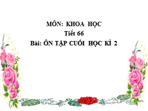 Bài giảng Khoa học Lớp 4 - Tuần 31: Ôn tập và kiểm tra cuối năm - Năm học 2019-2020