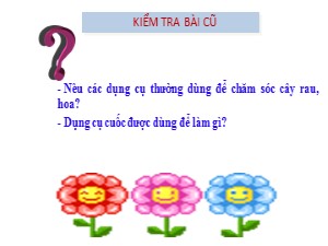 Bài giảng Kĩ thuật Lớp 4 - Tuần 21: Điều kiện ngoại cảnh của cây rau, hoa - Năm học 2019-2020 - Trường Tiểu học Ngọc Thụy