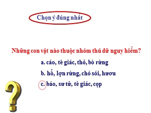 Bài giảng Luyện từ và câu Lớp 2 - Tuần 24: Từ ngữ về loài thú. Dấu chấm, dấu phẩy - Năm học 2019-2020