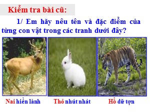 Bài giảng Luyện từ và câu Lớp 2 - Tuần 25: Từ ngữ về sông biển. Đặt và trả lời câu hỏi Vì sao? - Năm học 2019-2020