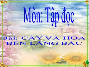 Bài giảng Tập đọc Khối 2 - Tuần 31: Cây và hoa bên lăng Bác