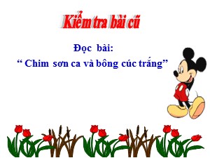 Bài giảng Tập đọc Lớp 2 - Tuần 21: Sân chim