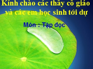 Bài giảng Tập đọc Lớp 2 - Tuần 26: Sông Hương - Năm học 2019-2020