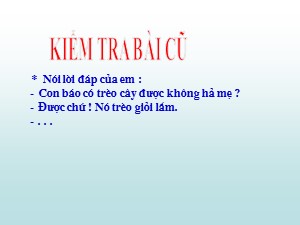 Bài giảng Tập làm văn Lớp 2 - Tuần 24: Đáp lời phủ định. Nghe trả lời câu hỏi - Năm học 2019-2020