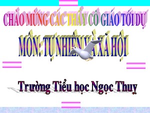 Bài giảng Toán Lớp 2 - Tuần 22: Bảng chia 2 - Năm học 2019-2020 - Trường Tiểu học Ngọc Thụy