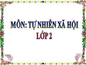 Bài giảng Tự nhiên xã hội Lớp 2 - Tuần 2: Bộ xương - Năm học 2018-2019