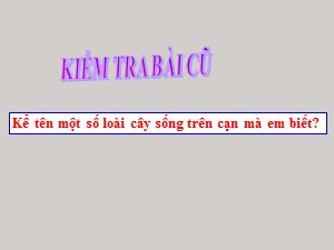 Bài giảng Tự nhiên xã hội Lớp 2 - Tuần 26: Một số loài cây sống dưới nước - Năm học 2019-2020