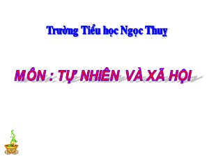 Bài giảng Tự nhiên xã hội Lớp 2 - Tuần 27: Loài vật sống ở đâu? - Năm học 2019-2020