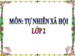 Bài giảng Tự nhiên xã hội Lớp 2 - Tuần 3: Hệ cơ - Năm học 2018-2019