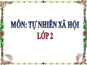 Bài giảng Tự nhiên xã hội Lớp 2 - Tuần 5: Cơ quan tiêu hóa - Năm học 2018-2019