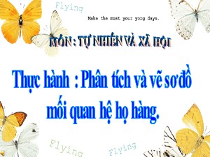 Bài giảng Tự nhiên xã hội Lớp 3 - Tuần 11: Thực hành Phân tích và vẽ sơ đồ mối quan hệ họ hàng - Năm học 2019-2020 - Trường Tiểu học Ngọc Thụy