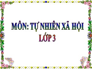 Bài giảng Tự nhiên xã hội Lớp 3 - Tuần 12: Phòng cháy khi ở nhà - Năm học 2019-2020 - Trường Tiểu học Ngọc Thụy