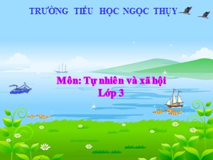 Bài giảng Tự nhiên xã hội Lớp 3 - Tuần 16: Làng quê và đô thị - Năm học 2020-2021