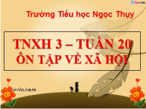 Bài giảng Tự nhiên xã hội Lớp 3 - Tuần 20: Ôn tập về cây cảnh - Năm học 2020-2021