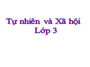 Bài giảng Tự nhiên xã hội Lớp 3 - Tuần 30: Bề mặt lục địa - Năm học 2019-2020 - Trường Tiểu học Ngọc Thụy