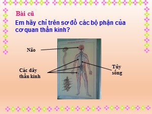 Bài giảng Tự nhiên xã hội Lớp 3 - Tuần 7: Hoạt động thần kinh - Năm học 2020-2021