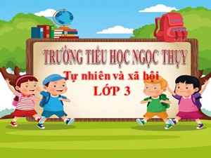 Bài giảng Tự nhiên xã hội Lớp 3 - Tuần 7: Hoạt động thần kinh (Tiết 2) - Năm học 2019-2020 - Trường Tiểu học Ngọc Thụy