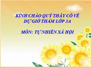 Bài giảng Tự nhiên xã hội Lớp 3 - Tuần 7: Hoạt động thần kinh (Tiết 1) - Năm học 2019-2020 - Trường Tiểu học Ngọc Thụy