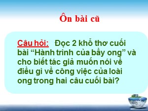 Bài giảng Tập đọc Lớp 5 - Tuần 13: Người gác rừng tí hon (Nguyễn Thị Cẩm Châu)