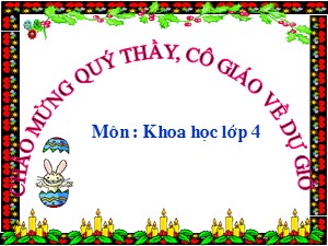 Bài giảng Khoa học Lớp 4 - Bài 36: Không khí cần cho sự sống - Trường Tiểu học Thanh Am