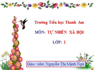 Bài giảng Tự nhiên xã hội Lớp 1 - Bài 12: Nhà ở - Nguyễn Thị Minh Ngà