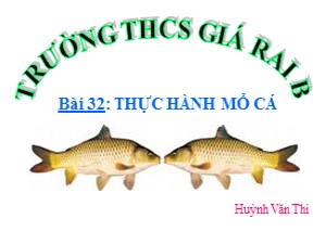 Bài giảng Sinh học Lớp 7 - Bài 32: Thực hành mổ cá - Huỳnh Văn Thi