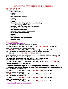 Đề cương ôn tập Học kì 1 môn Hóa học Khối 11