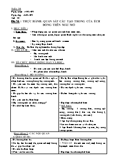 Giáo án Sinh học Lớp 7 - Tiết 38, Bài 36: Thực hành quan sát cấu tạo trong của ếch đồng trên mẫu mổ (Bản hay)