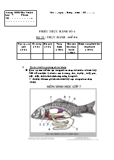 Phiếu thực hành Sinh học Lớp 7 - Phiếu số 6 - Bài 32: Thực hành mổ cá - Trường THCS Chu Văn An