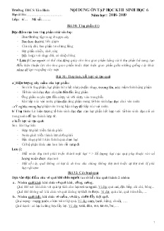 Đề cương ôn tập học kì II môn Sinh học Lớp 6 - Năm học 2018-2019 - Trường THCS Tân Bình