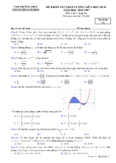 Đề khảo sát chất lượng giữa học kì II môn Toán Lớp 12 - Mã đề: 132 - Năm học 2018-2019 - Trường THPT Nam Định