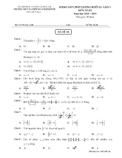 Đề khảo sát chất lượng lần 5 môn Toán Lớp 12 - Mã đề: 195 - Năm học 2018-2019 - Trường THCS Và THPT M.V.lômônôxốp (Có đáp án)