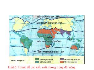 Bài giảng Địa lí 7 - Tiết 15, Bài 19: Môi trường hoang mạc