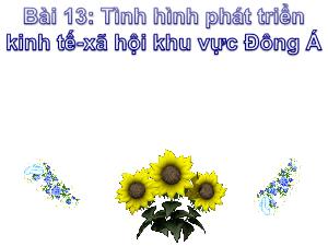 Bài giảng Địa lí 8 - Bài 13: Tình hình phát triển kinh tế - Xã hội khu vực Đông Á