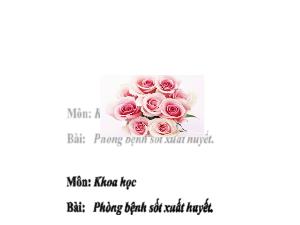 Bài giảng Khoa học 5 - Bài 13: Phòng bệnh sốt xuất huyết - Nguyễn Thị Thu Trang