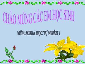 Bài giảng Khoa học tự nhiên 7 - Chủ đề 5, Bài 10: Biên độ, tần số, độ cao và độ to của âm
