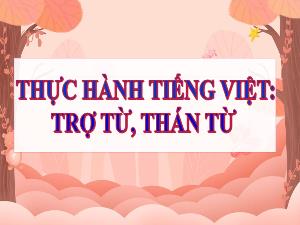 Bài giảng môn Ngữ văn 8 - Thực hành tiếng Việt: Trợ từ, thán từ
