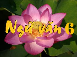 Bài giảng Ngữ văn 6 - Bài: Trong lòng mẹ (Trích 