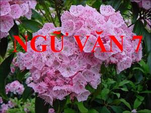 Bài giảng Ngữ văn 7 - Bài 20: Tinh thần yêu nước của nhân dân ta