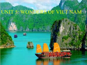 Bài giảng Tiếng Anh 9 - Bài 5: Wonders of Viet Nam, Lesson 1: Getting started